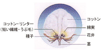 キュプラ裏地 キュプラ裏地