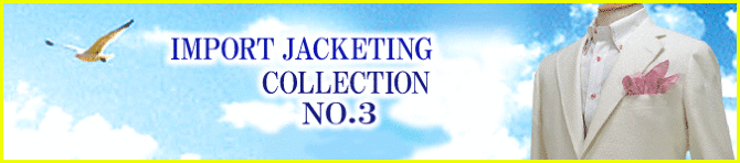 �C���|�[�g�W���P�b�e�B���O�R���N�V����