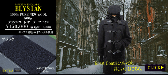 �G���V�A��