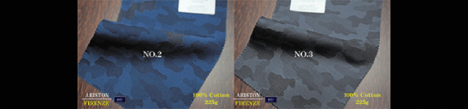 アリストン アリストン